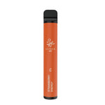 Elf Bar 600 V1 (2%) Disposable Vape - Smoketronics